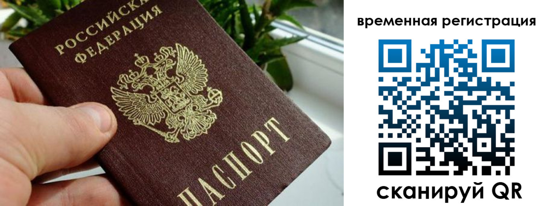 прописка поиск в Нурлате